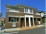 プリムローズB