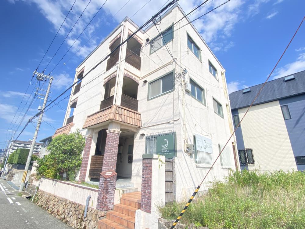 リノ・逆瀬川