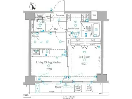 ラフィスタときわ台(1LDK/1階)の間取り写真