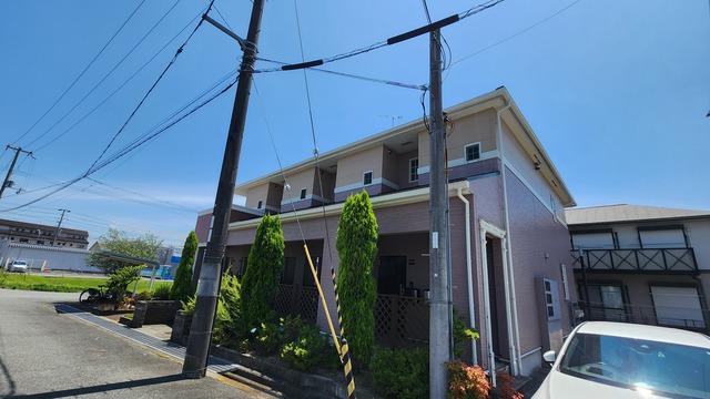 アムール・ペルペテュエ