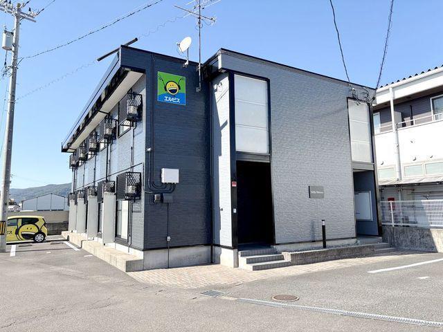ステラミモーサ