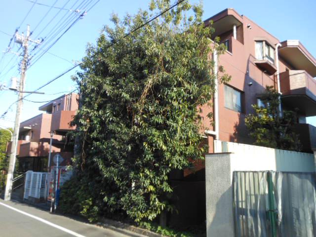 ヴィラベール洗足池