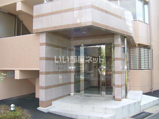 セレナーデホープ