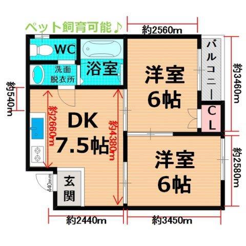 エトワールK(2DK/4階)の間取り写真
