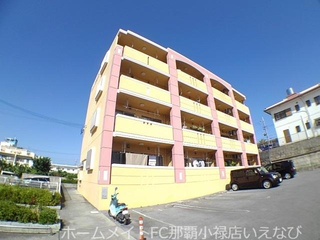 プルメリア3C