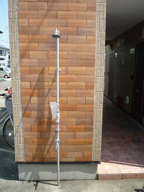 シージョイII