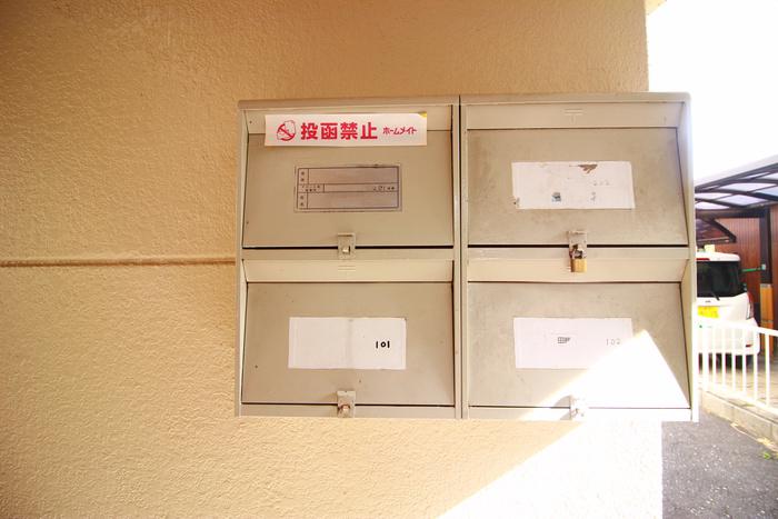 サンファミリー II