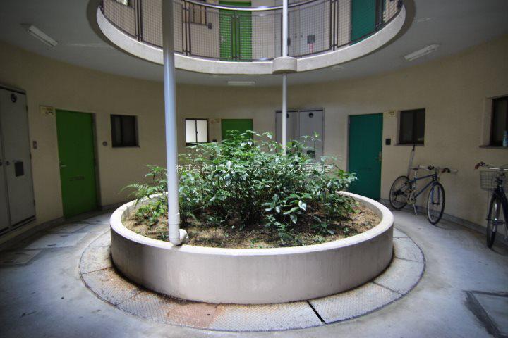 レドンダカサ玉川