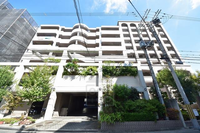 アラメダ 江坂