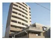 ライジングコート京都西院フロンティアⅡ(1K/8階)