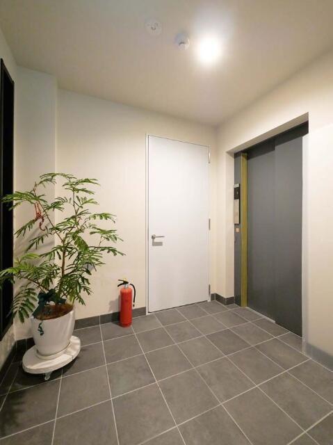 CHATAIGNE FORET OTEMACHIシャテーヌ フォレッ