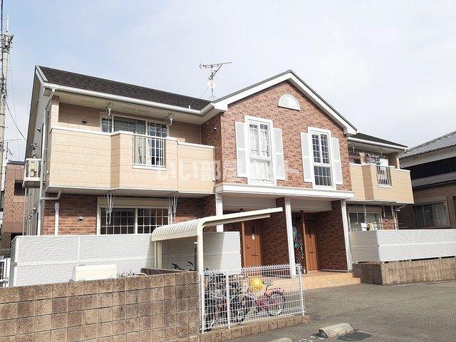 カモミールIII A