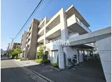 ディークラディア日吉本町