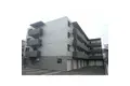 GRANEIGE YAMAHANA
