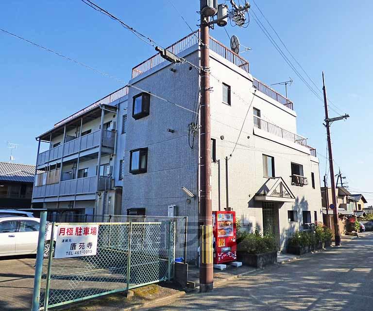 ヤングリーブス