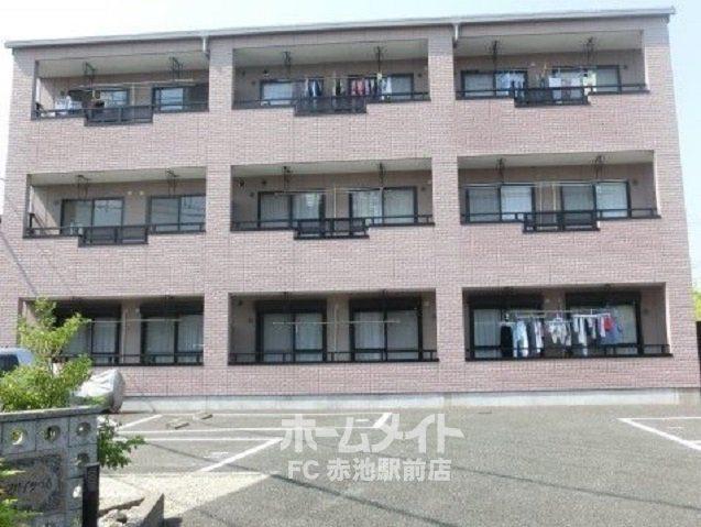 オオシマハイツベル