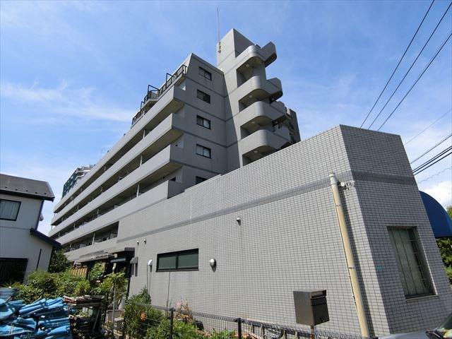 ベイ・ドルフィン