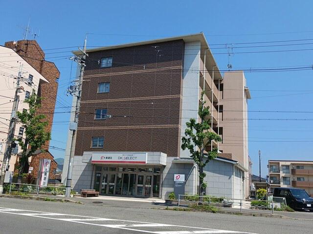 D・マローネ桂