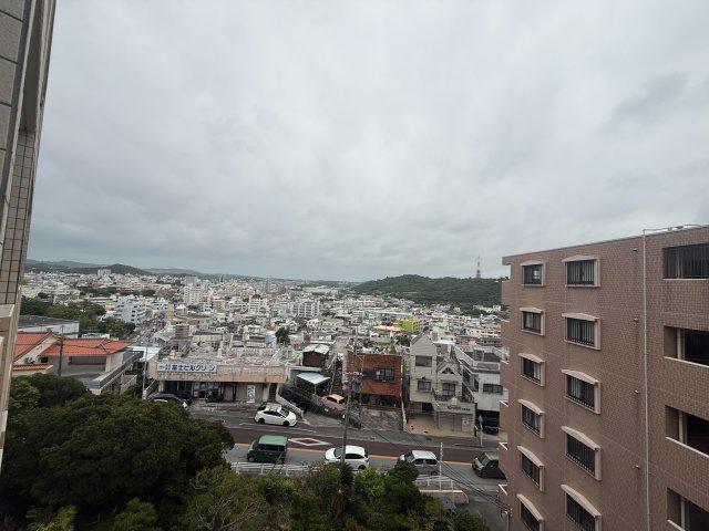 シャインモリアキ