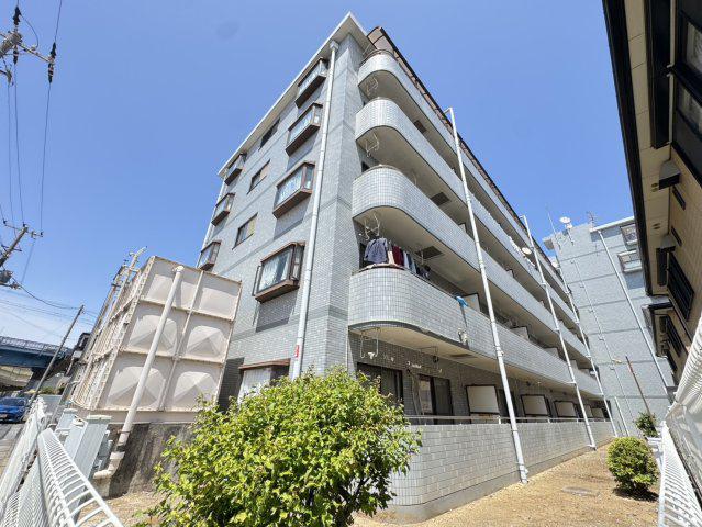 アフィニス原木