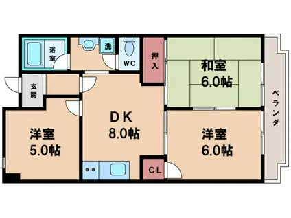 恒信ハイツ(3DK/4階)の間取り写真