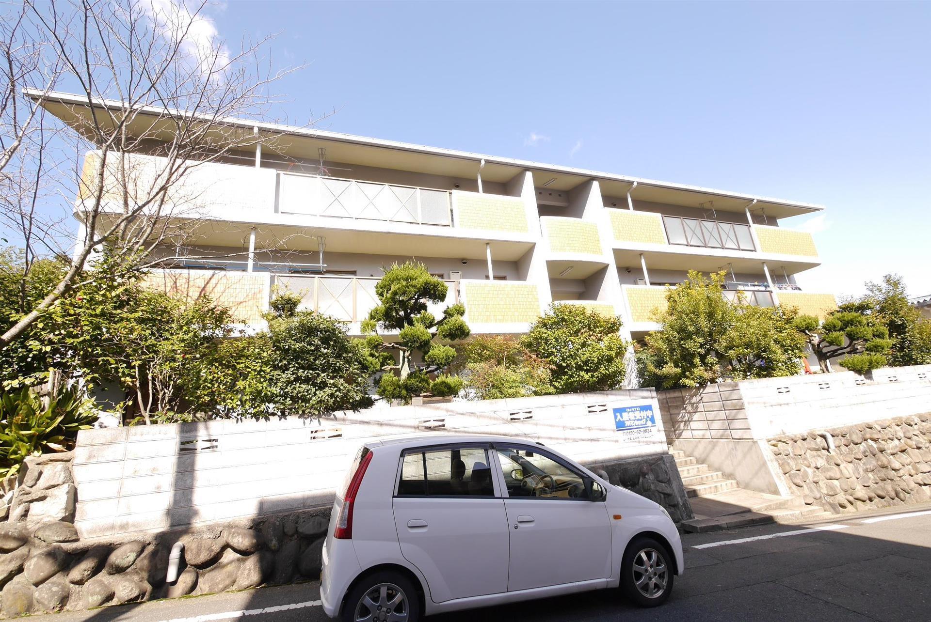 カメリアII