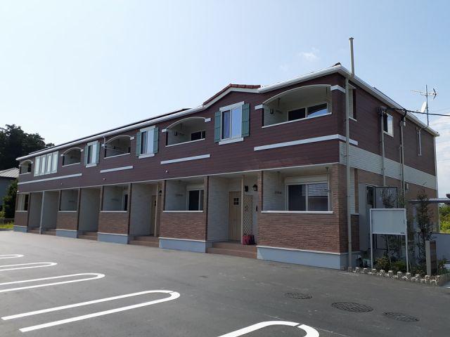 オリーブ 小林