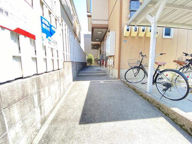 パープルベアーズI