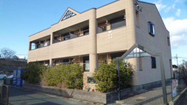 サンライズガル