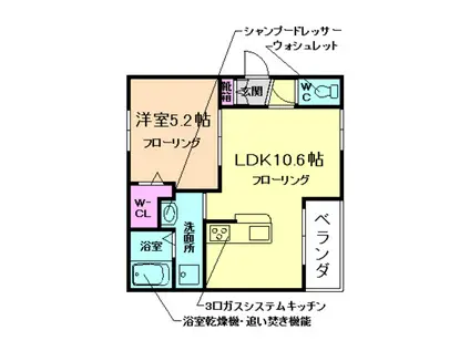 メゾン コールアルライン(1LDK/1階)の間取り写真