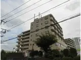ビコラかしわ台