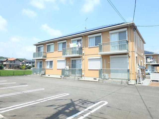 カーネーションB
