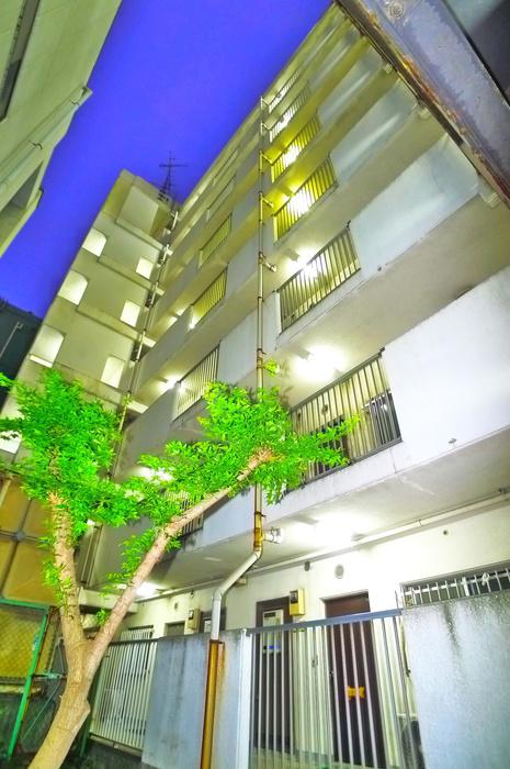 松戸シティハイツ(3LDK/6階)