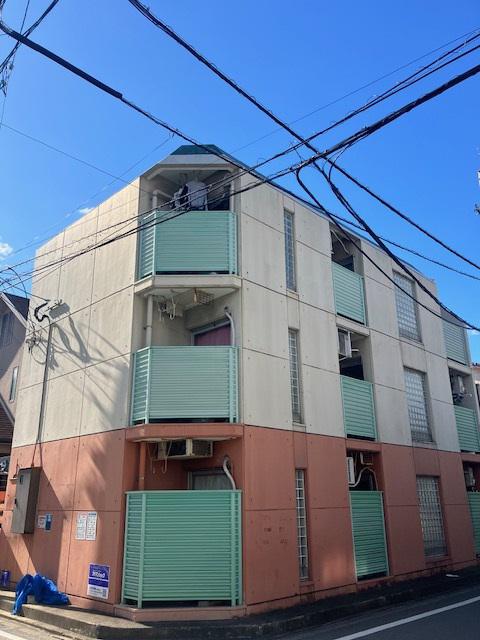 フルブルーム