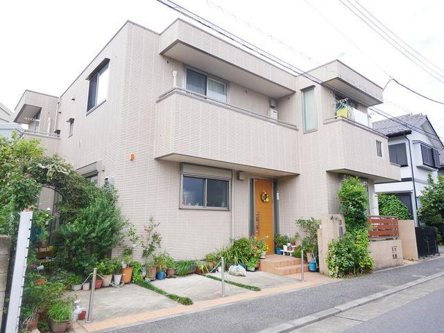 サンセベリア