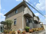 カーサーカトレア