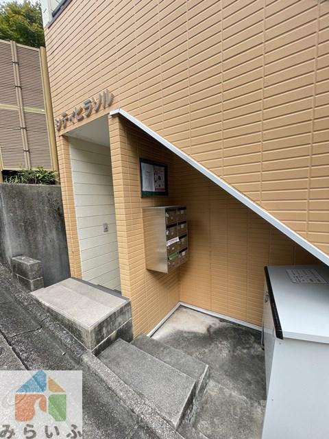 シティヒラソル