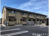アムール シェノン