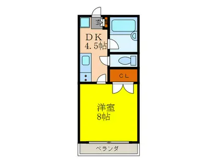 ディオグランビュー(1DK/1階)の間取り写真