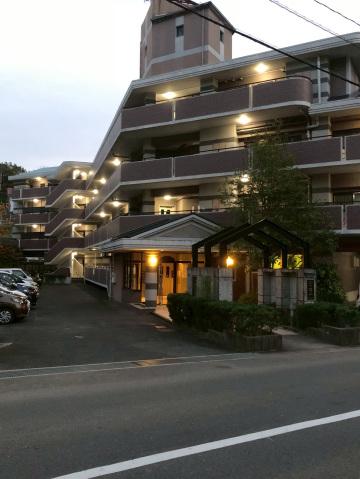 シャロム