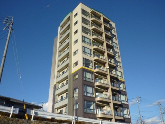 SUNECHOCHINO