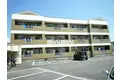SUNMATES福田