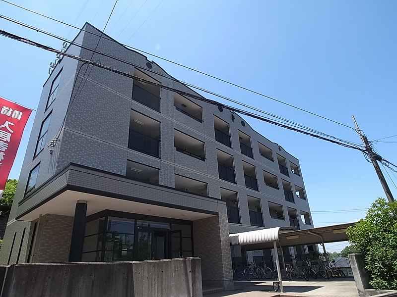 プリムローズ