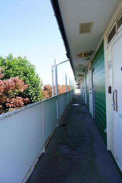 グリーンハイツ島