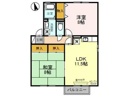 サンウェル16 B棟(2LDK/1階)の間取り写真