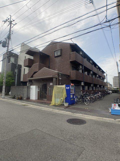 キングガーデン