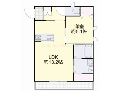 ALBA VI(1LDK/1階)の間取り写真