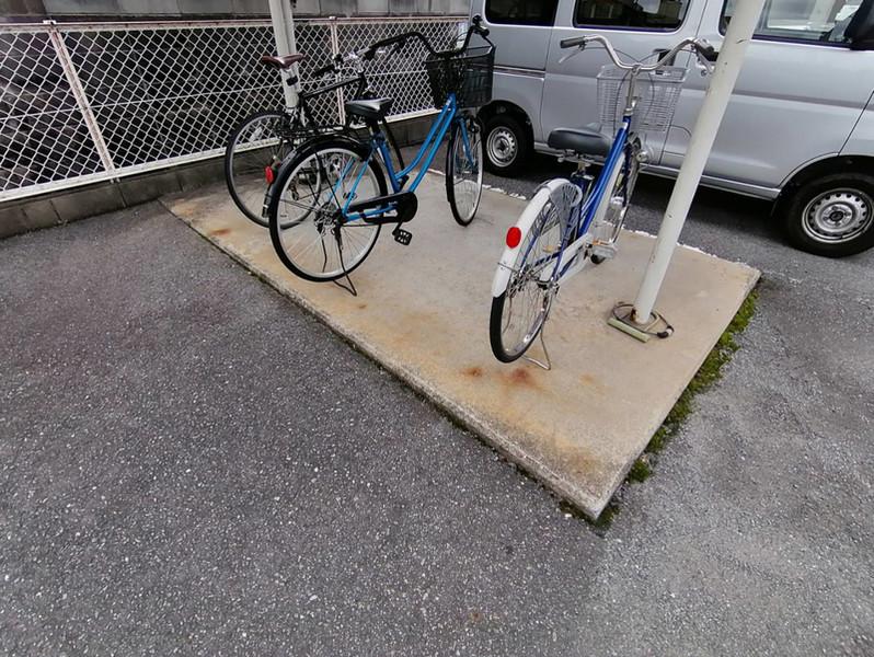 ハーブ辻井