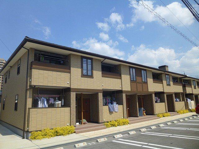 イリス B
