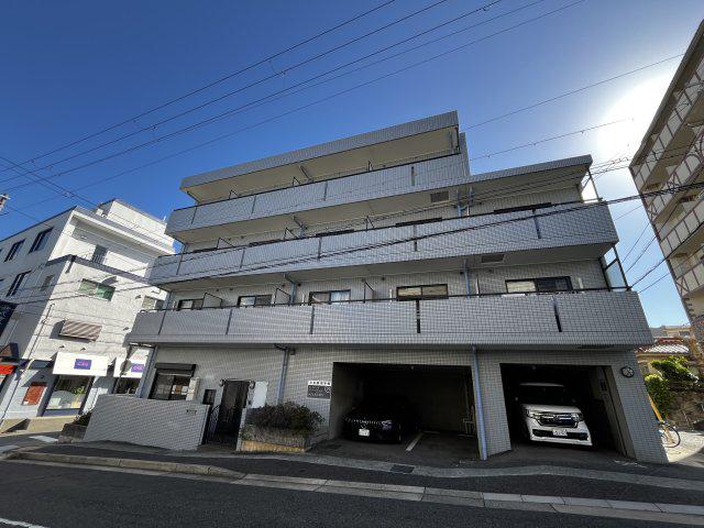六甲ヒノキ